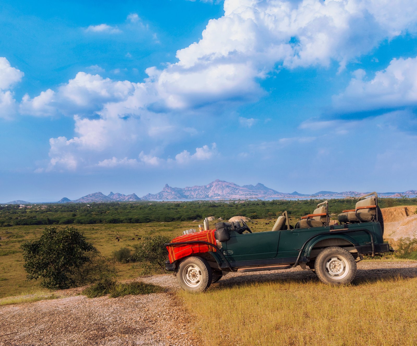 Regenerative travel | Vacations that give back